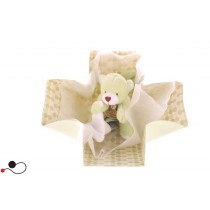 PELUCHE DOUDOU ED COMPAGNIE