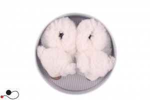 PELUCHE DOUDOU ED COMPAGNIE
