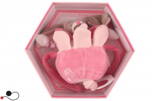 PELUCHE DOUDOU ED COMPAGNIE