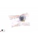 Ariston 00274118